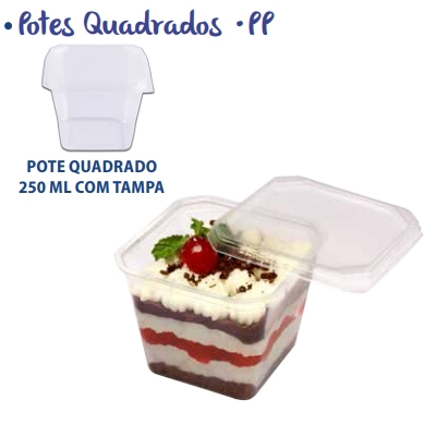 POTE QUADRADO 250ML COM TAMPA COM 20UN PRAFESTA