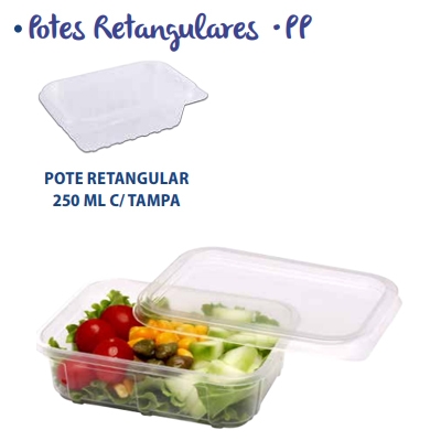 POTE RETANGULAR 250ML COM TAMPA COM 24UN PRAFESTA